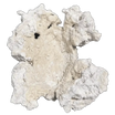 ChandlerRocks clam holder reef rock with a natural groove that cradles a clam