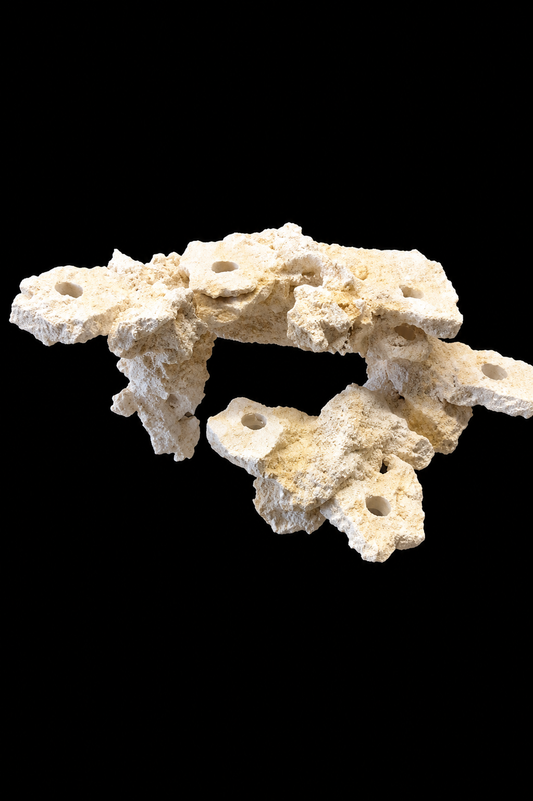 ORIGINAL Magnetic Frag Rock Large