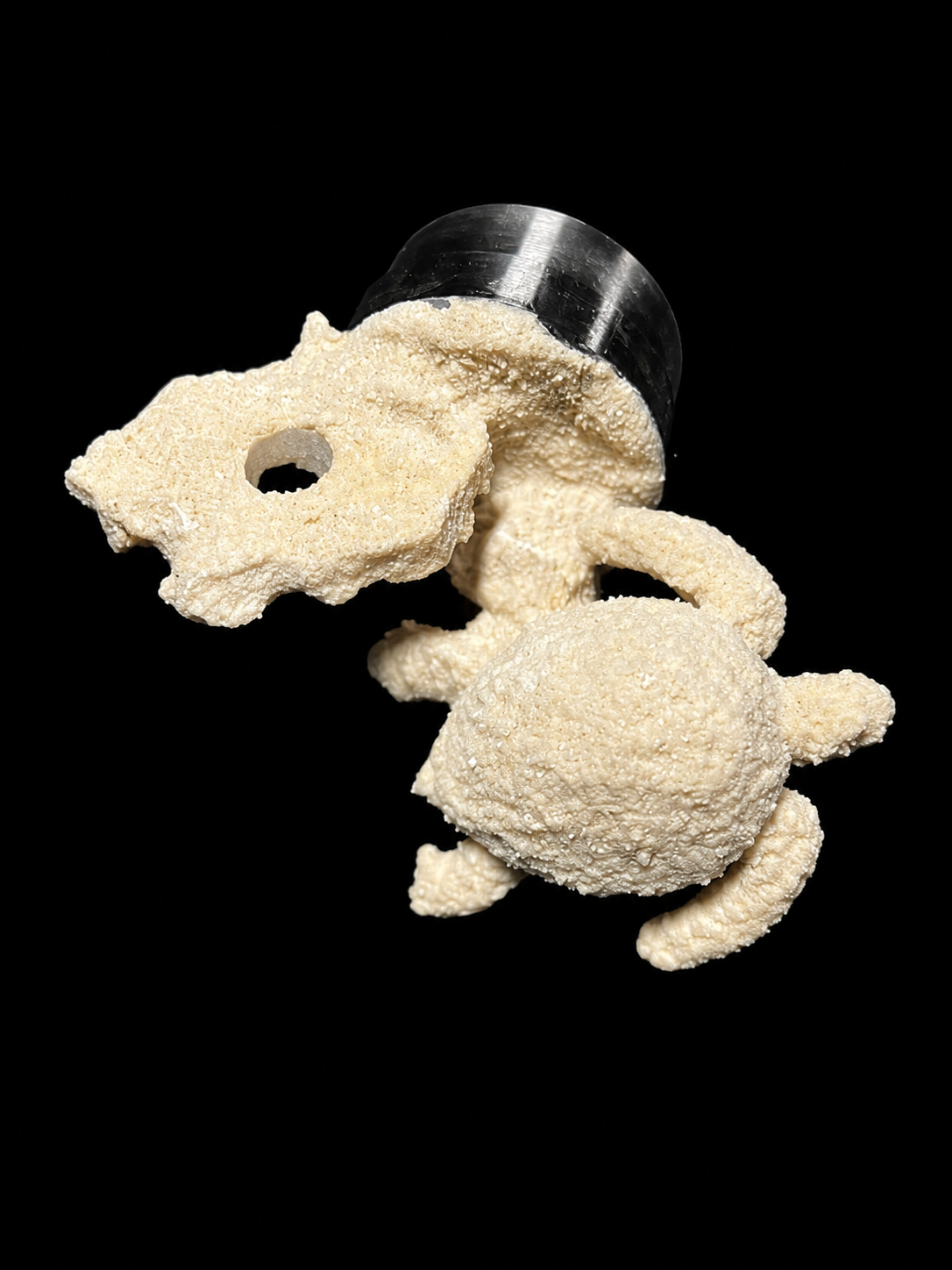 Small Sea Life Frag Magnet