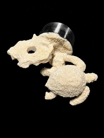 Small Sea Life Frag Magnet
