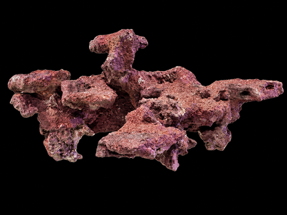 ChandlerRocks Original large magnetic frag rock in coralline finish, angled view