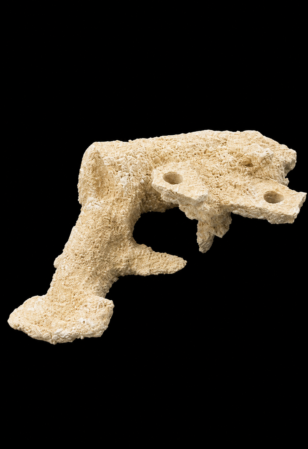 Large Sea Life Frag Magnet