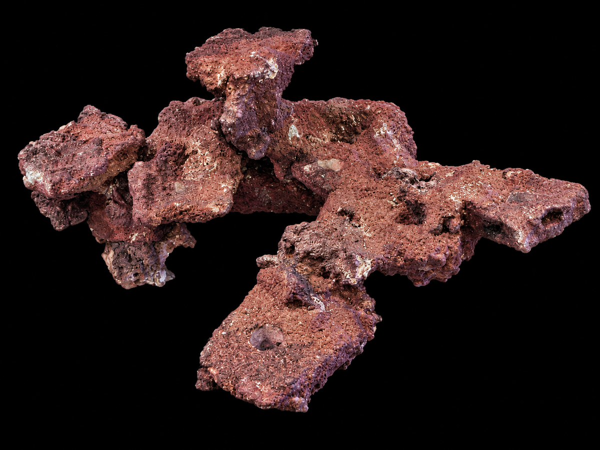 ChandlerRocks Original large magnetic frag rock in coralline finish, front view