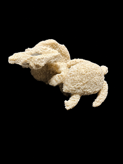 Small Sea Life Frag Magnet