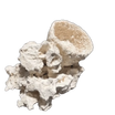 ChandlerRocks anemone holder cup made from natural MarcoRocks reef rock