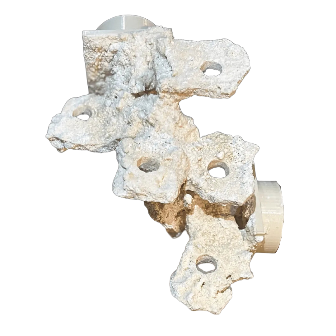 ChandlerRocks corner frag rock for coral placement, made from natural Marco rock