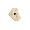 ChandlerRocks natural frag starter rock