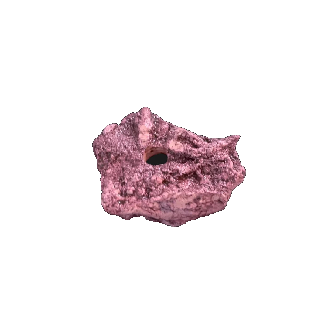 ChandlerRocks coralline frag starter rock