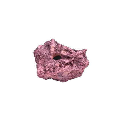 ChandlerRocks coralline frag starter rock