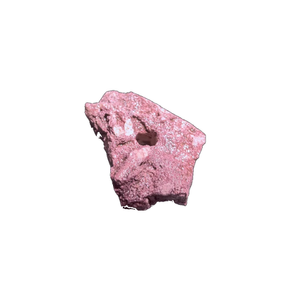 ChandlerRocks coralline frag starter rock, alternate view