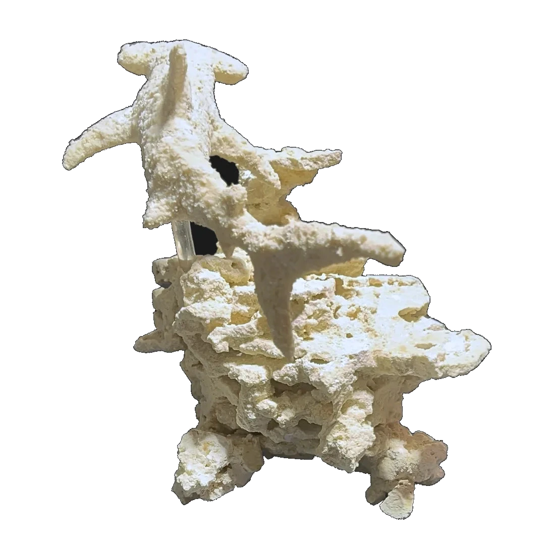 ChandlerRocks hammerhead shark rockscape sculpted from MarcoRocks