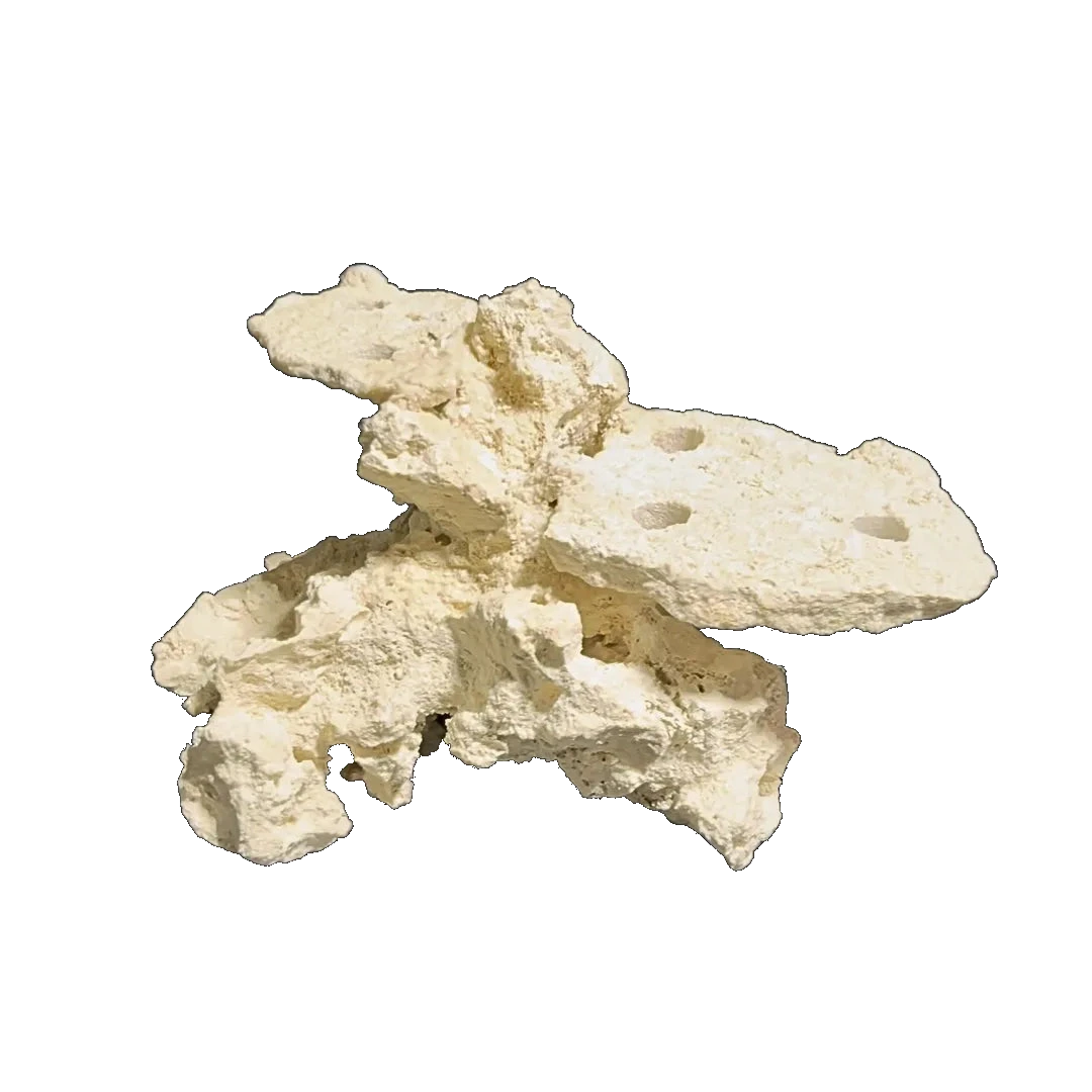 ChandlerRocks natural frag mound with drilled coral plug holes