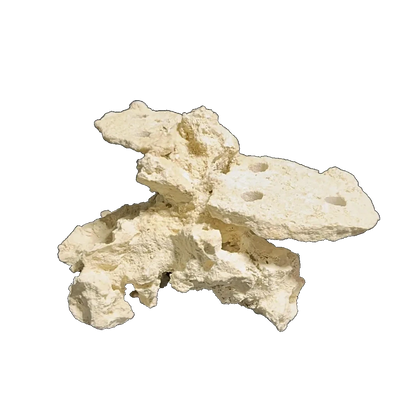 ChandlerRocks natural frag mound with drilled coral plug holes
