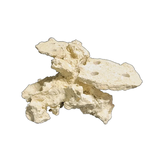 ChandlerRocks natural frag mound with drilled coral plug holes