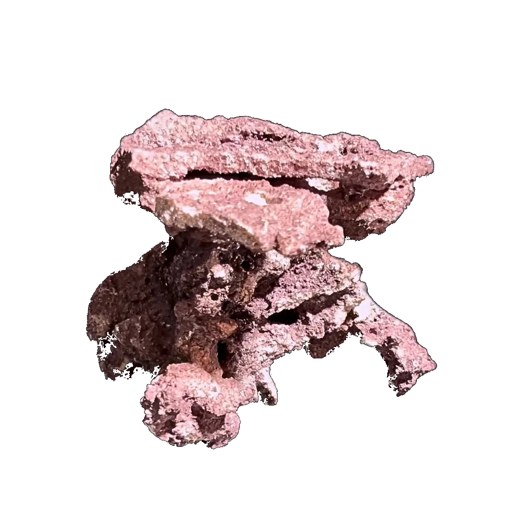 ChandlerRocks coralline frag mound with drilled coral plug holes