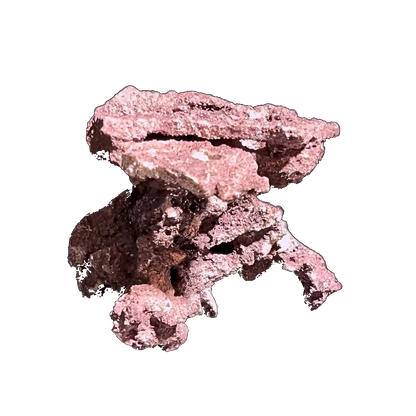 ChandlerRocks coralline frag mound with drilled coral plug holes