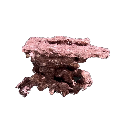 ChandlerRocks coralline frag mound, side view