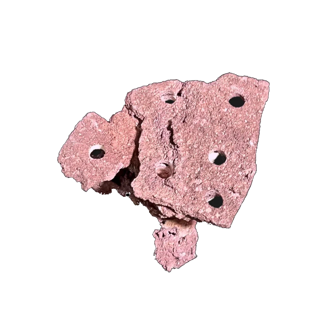 ChandlerRocks coralline frag mound, angled view