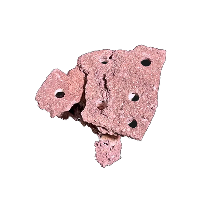 ChandlerRocks coralline frag mound, angled view