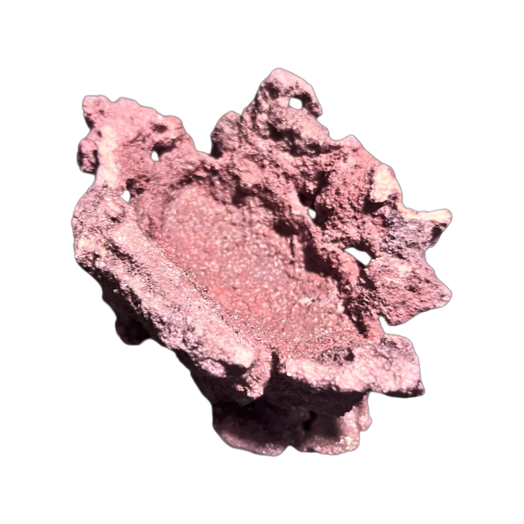 ChandlerRocks coralline clam holder, alternate view