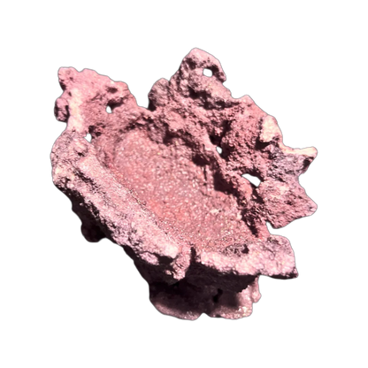 ChandlerRocks coralline clam holder, alternate view