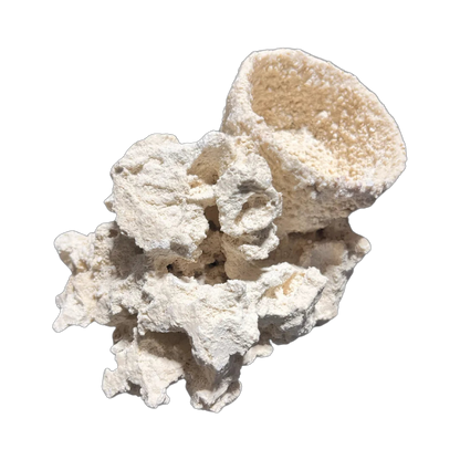 ChandlerRocks anemone holder with a reef-safe cup fused into natural MarcoRocks