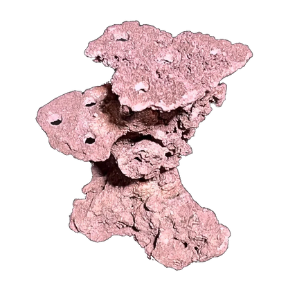 ChandlerRocks coralline frag tower with drilled plug holes