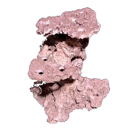 ChandlerRocks coralline frag tower, alternate view