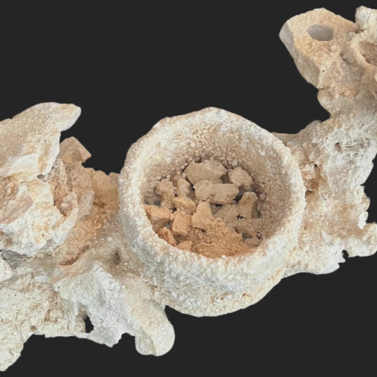 A ChandlerRocks anemone cup turning slowly, showing the reef-safe cup fused into the rock