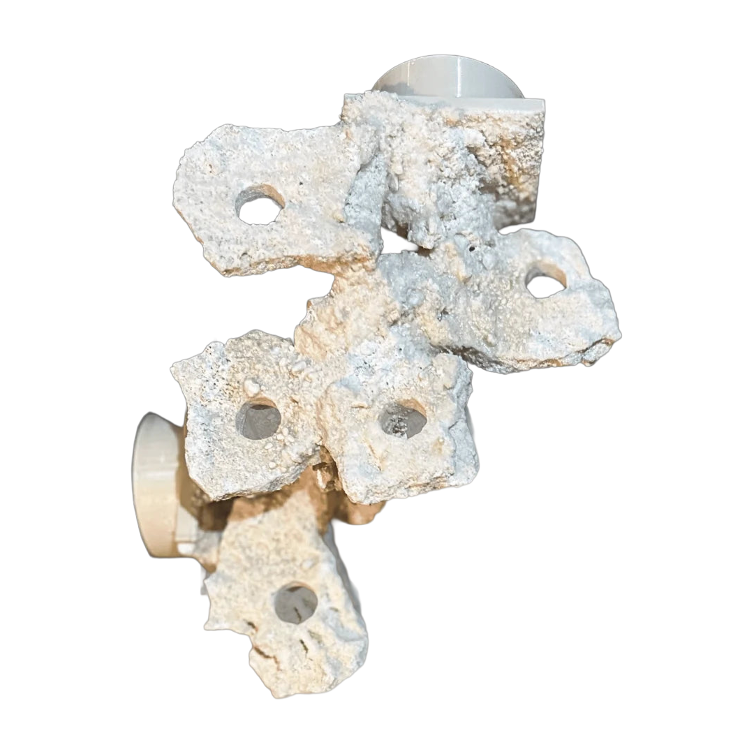 ChandlerRocks corner frag rock for coral placement, made from natural Marco rock