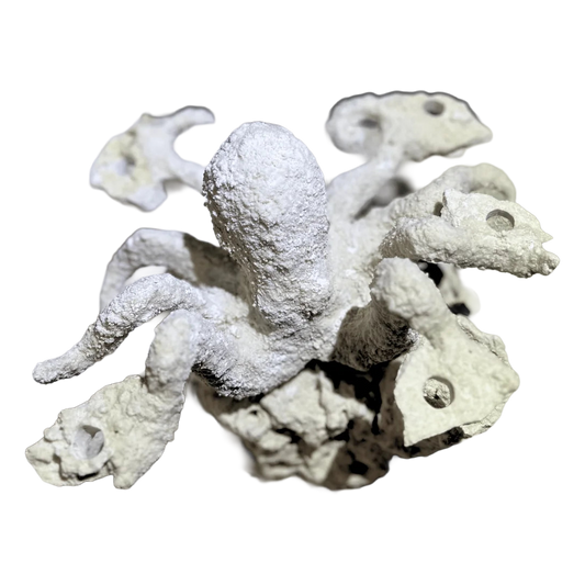 ChandlerRocks octopus reef rock centerpiece handcrafted from natural MarcoRocks