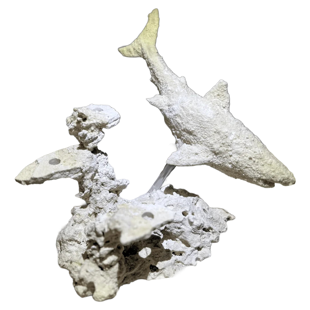 ChandlerRocks great white shark reef rock sculpture handcrafted from natural MarcoRocks