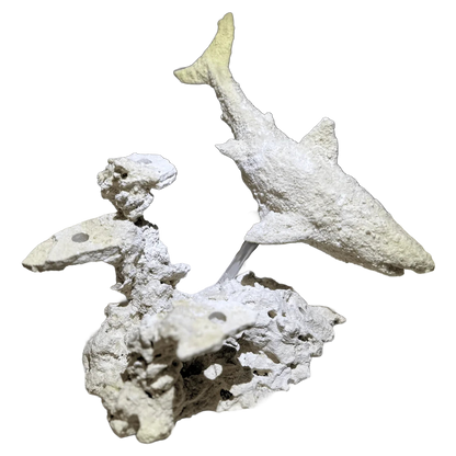 ChandlerRocks great white shark reef rock sculpture handcrafted from natural MarcoRocks