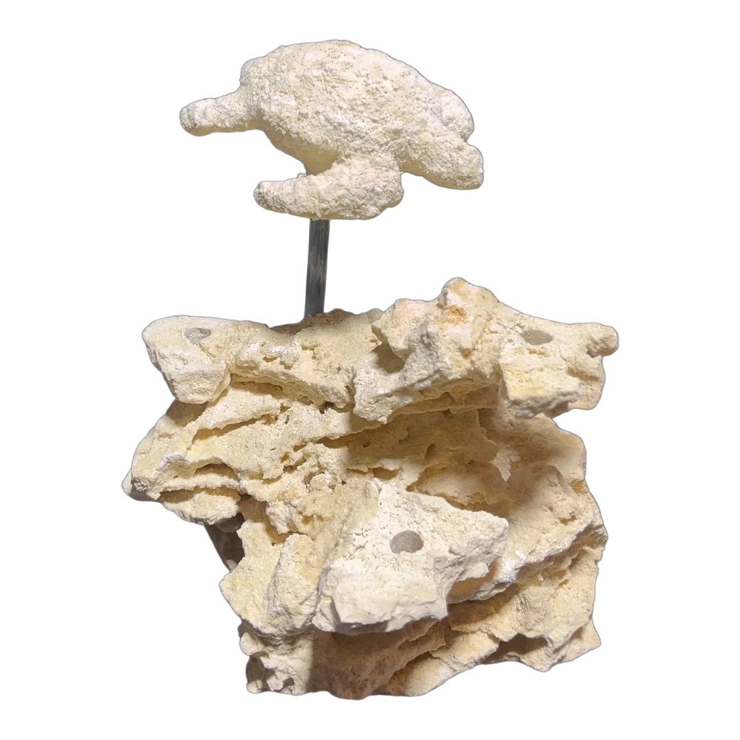 ChandlerRocks sea turtle reef rock sculpture handcrafted from natural MarcoRocks