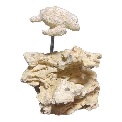 ChandlerRocks sea turtle reef rock sculpture handcrafted from natural MarcoRocks