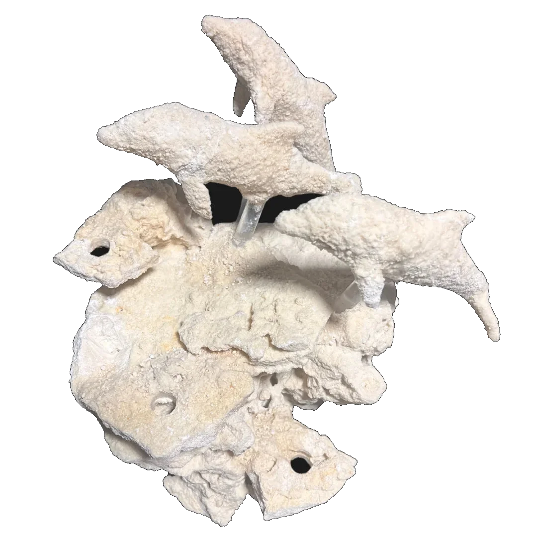 ChandlerRocks sea life reef rock sculpture handcrafted from natural MarcoRocks