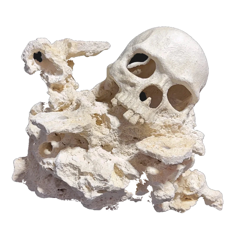 ChandlerRocks skull aquascape, front three-quarter view