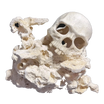 ChandlerRocks reef-safe skull aquascape sculpted into natural MarcoRocks