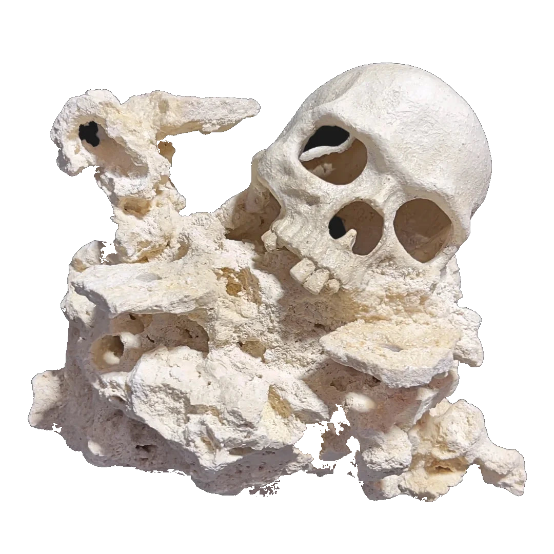 ChandlerRocks reef-safe skull aquascape sculpted into natural MarcoRocks