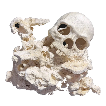 ChandlerRocks reef-safe skull aquascape sculpted into natural MarcoRocks
