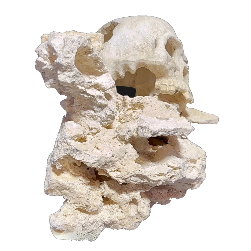 ChandlerRocks skull aquascape, side profile