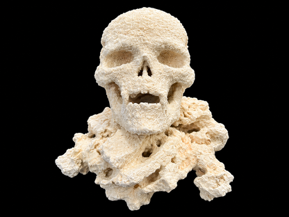 Small handcrafted reef rock skull, vampire version with small fangs on the upper jaw, set on a textured rock base
