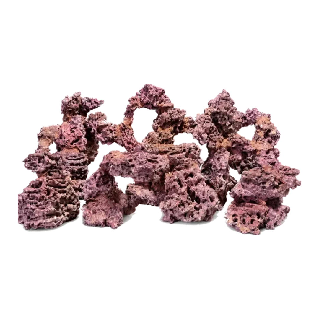 Coralline reefscape
