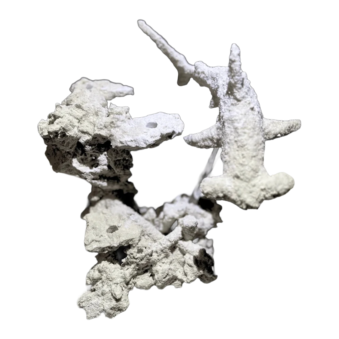 Hammerhead on a stand